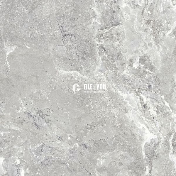 Керамограніт Teo Ceramics (Allore) | Snake stone Silver F PC 600x600x8 R Sugar 1 60131326 фото