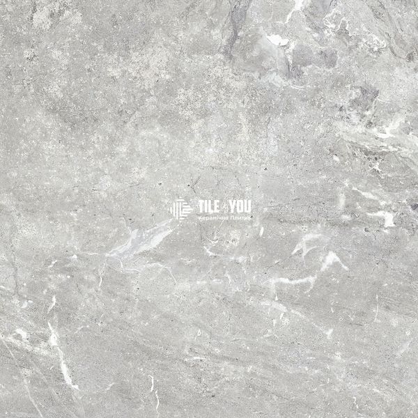 Керамограніт Teo Ceramics (Allore) | Snake stone Silver F PC 600x600x8 R Sugar 1 60131326 фото