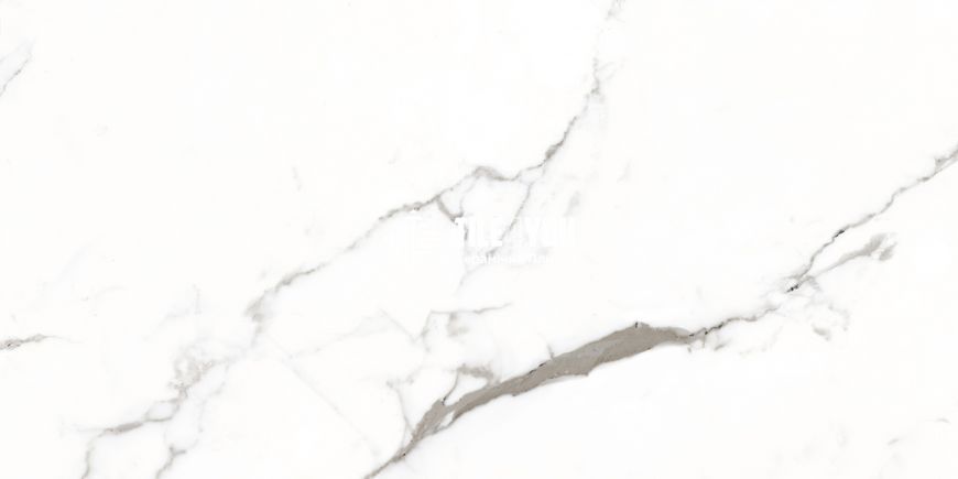 Керамограніт Itaca | Satvario Fancy Grey Polished 60*120 201589 фото