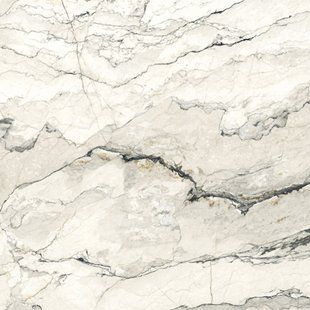Керамограніт Argenta | Плитка Breccia Lunare Pul 120x120 см 208778 фото