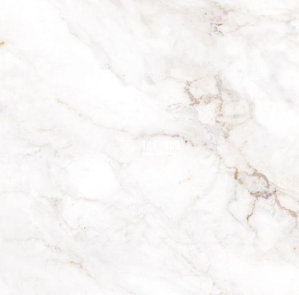 Керамограніт Teo Ceramics (Allore) | Palazzo White F P 600x600x8 R Full Lappato 1 16841 фото
