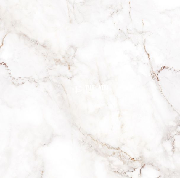 Керамограніт Teo Ceramics (Allore) | Palazzo White F P 600x600x8 R Full Lappato 1 16841 фото