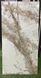 Керамогранит Fiera Ceramica | Premium Marble Visage Gold 600х1200х8 18133 фото 1