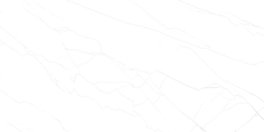 Керамограніт Letina Tiles | Alpha Dione Spider Carving 60*120 201647 фото