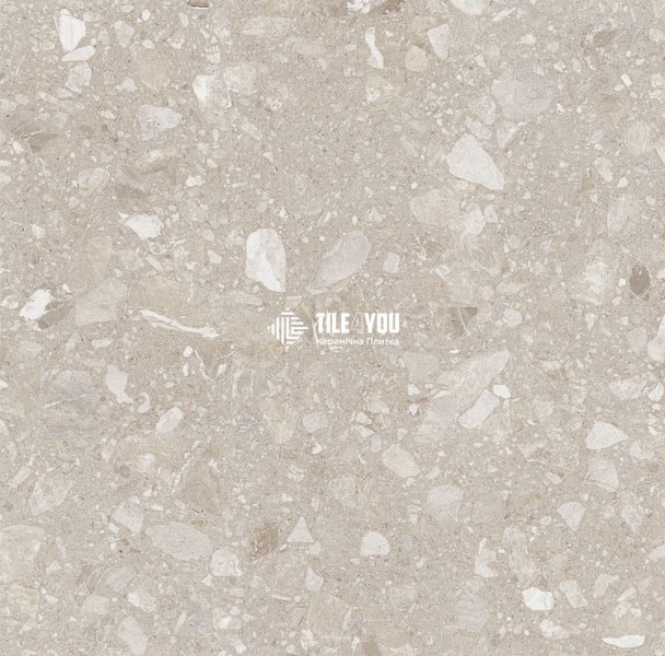 Керамограніт Teo Ceramics (Allore) | Terra Beige F PC 600x600x8 R Sugar 1 60131312 фото