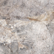 Керамограніт Fiera Ceramica | Princess Light Grey 600х600х7 18137 фото 1