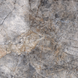 Керамограніт Fiera Ceramica | Princess Dark Grey 600х600х7 18138 фото 12
