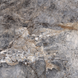 Керамограніт Fiera Ceramica | Princess Dark Grey 600х600х7 18138 фото 13