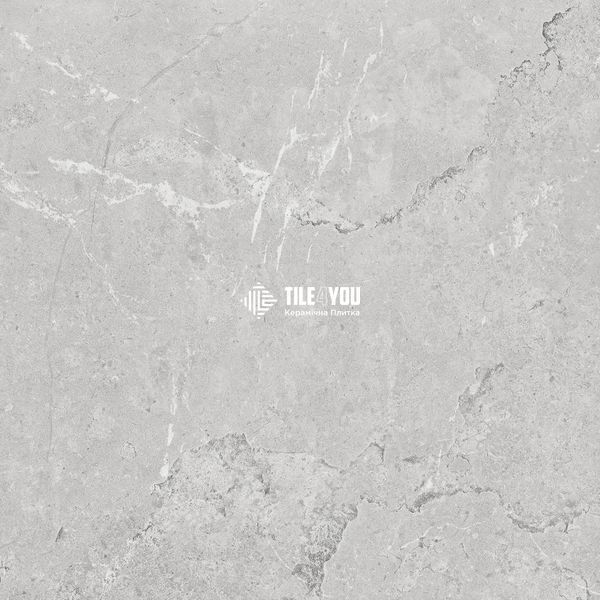 Керамограніт Ceramica Deseo | TUANA GREY MATT 600x600 mm 202915 фото