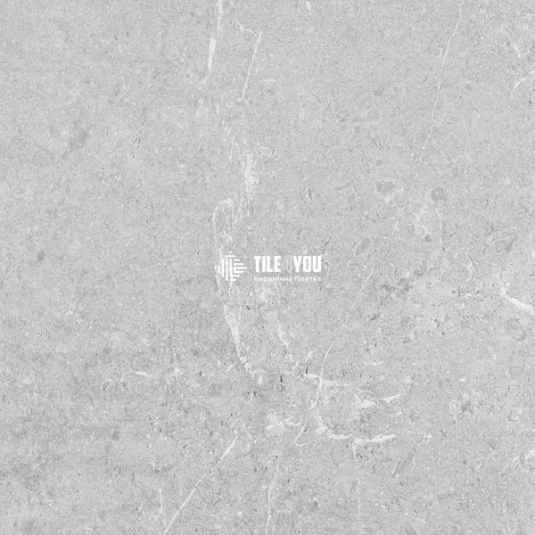 Керамограніт Ceramica Deseo | TUANA GREY MATT 600x600 mm 202915 фото