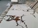 Керамограніт Granicer Ceramica | Adorn Amber White 60&times;120 13843 фото 6