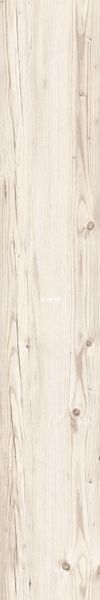 Плитка під дерево Teo Ceramics (Allore) | Aspen White F PR 198x1200x8 R Mat 1 16849 фото