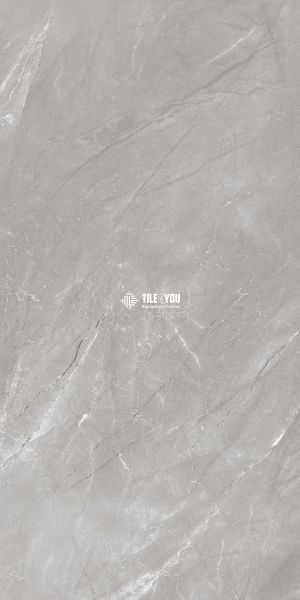 Керамограніт Netto Ceramika | Venezia Grey Polished 60&times;120 19446 фото