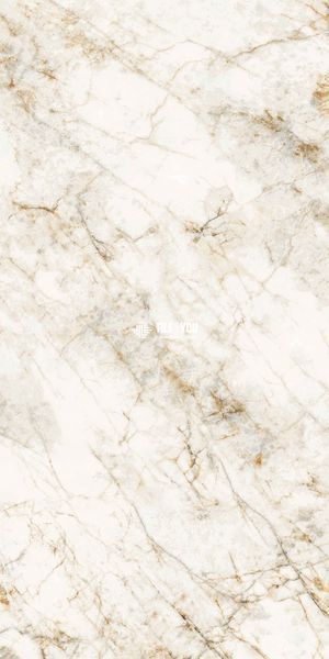 Керамогранит Netto Ceramika | Quartz Stone Polished 600X1200 18617 фото