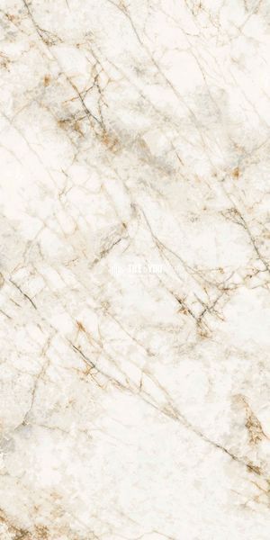Керамогранит Netto Ceramika | Quartz Stone Polished 600X1200 18617 фото