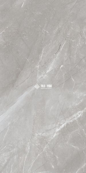 Керамограніт Netto Ceramika | Venezia Grey Polished 60&times;120 19446 фото