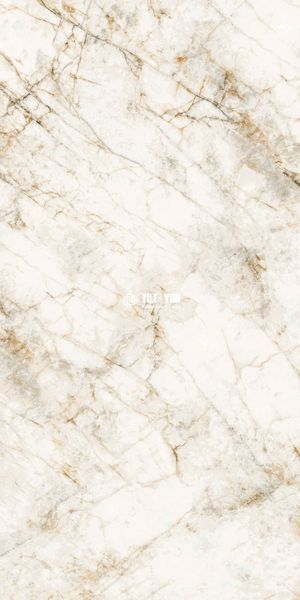 Керамогранит Netto Ceramika | Quartz Stone Polished 600X1200 18617 фото