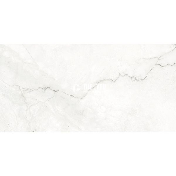 Керамогранит Geotiles | Плитка Eterna White 60x120 см 209895 фото