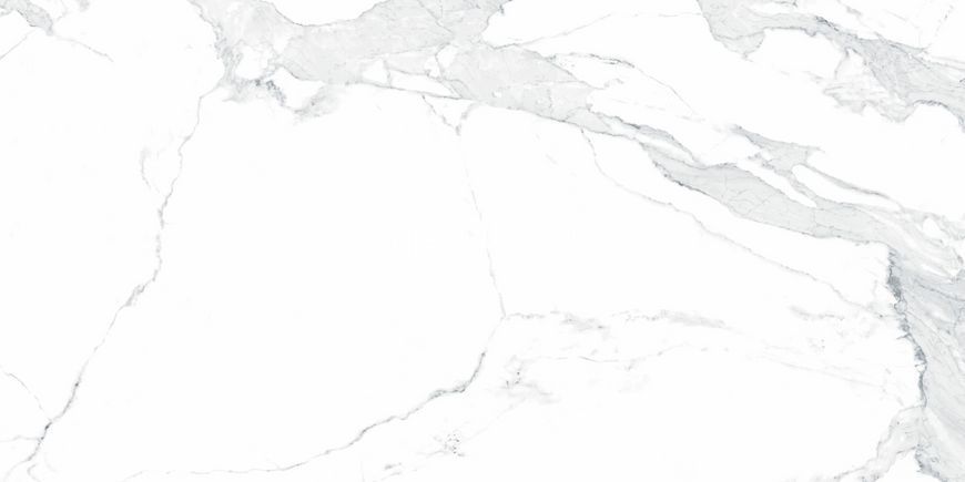 Керамограніт Teo Ceramics (Allore) | Avenzo Silver F P 600x1200x8 R Full Lappato 1 51107983 фото