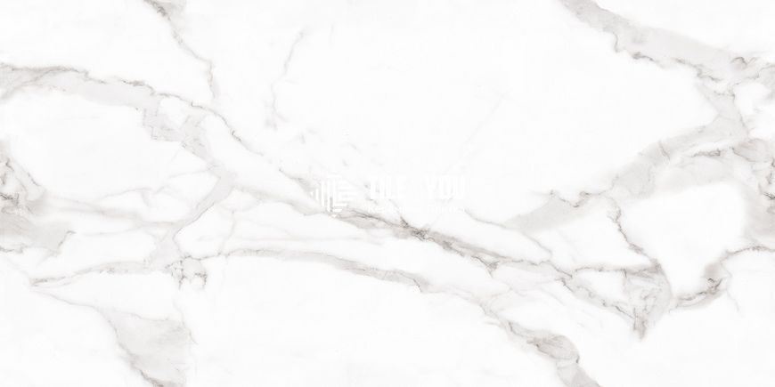 Керамограніт Megagres | Плитка VENATO BIANCO POLISHED 60x120 209945 фото