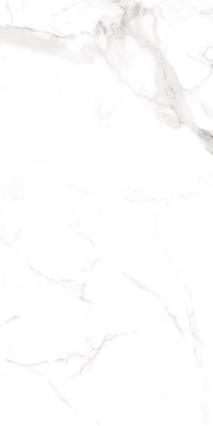 Керамограніт Teo Ceramics (Allore) | Alcora Grey F P 600x1200x8 R Full Lappato 1 52164857 фото