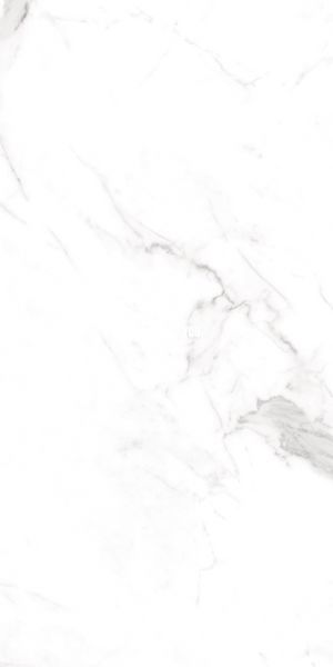 Керамограніт Teo Ceramics (Allore) | Alcora Grey F P 600x1200x8 R Full Lappato 1 52164857 фото