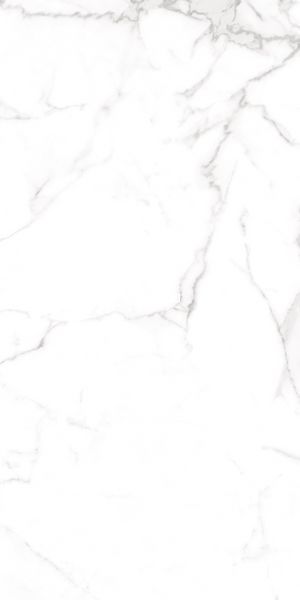 Керамограніт Teo Ceramics (Allore) | Alcora Grey F P 600x1200x8 R Full Lappato 1 52164857 фото