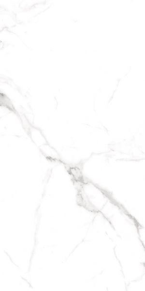Керамограніт Teo Ceramics (Allore) | Alcora Grey F P 600x1200x8 R Full Lappato 1 52164857 фото