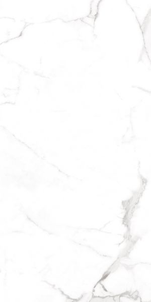 Керамограніт Teo Ceramics (Allore) | Alcora Grey F P 600x1200x8 R Full Lappato 1 52164857 фото
