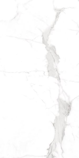 Керамограніт Teo Ceramics (Allore) | Alcora Grey F P 600x1200x8 R Full Lappato 1 52164857 фото