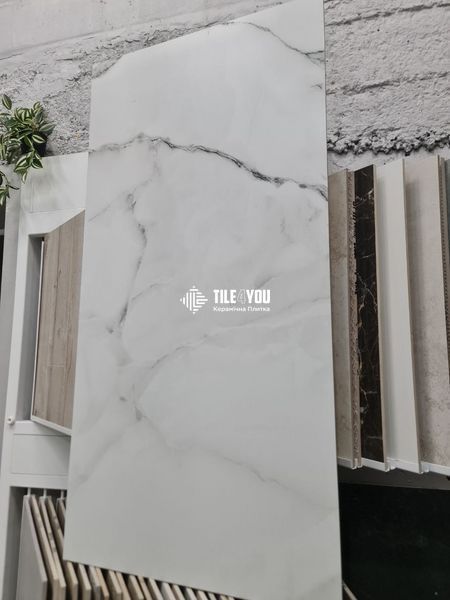 Керамограніт Italica | Bold Onyx Grey Matt+Carving 60 x120 18192 фото