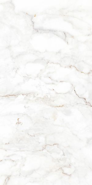 Керамограніт Teo Ceramics (Allore) | Palazzo White F P 600x1200x8 R Satin 1 15648 фото