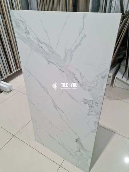 Керамограніт Teo Ceramics (Allore) | Avenzo Silver F P 600x1200 R Mat 1 50318142 фото