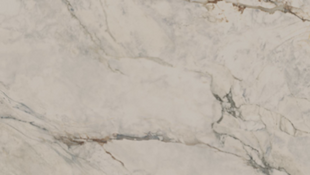 Керамограніт Paradyz Ceramika | Arkurio White Mat 119,8X59,8 19925 фото