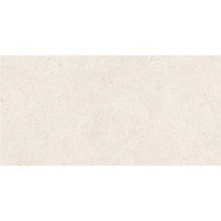 Керамограніт Emil Ceramica | Плитка ENMZ GE.FI SAL SK R 60x120 208914 фото