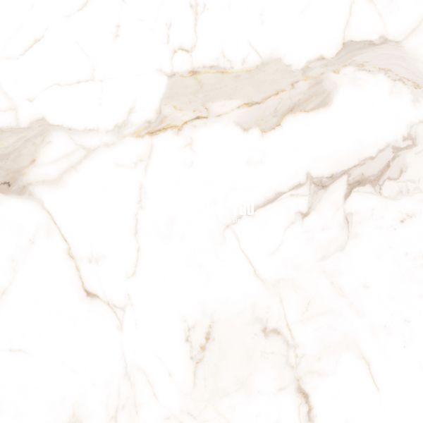 Керамограніт Teo Ceramics (Allore) | Alcora Gold F P 600x600x8 R Full Lappato 1 52164962 фото