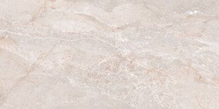 Плитка Megagres | STONICO OYSTER GREY 60x120 201396 фото