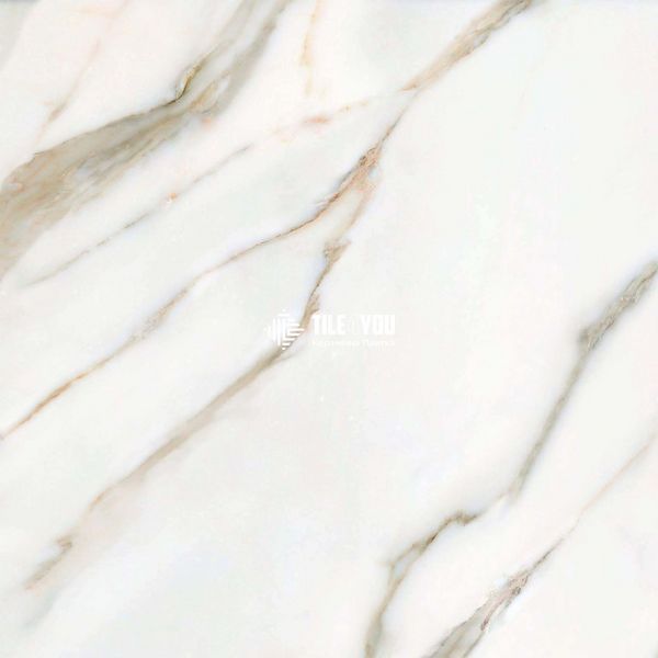 Керамограніт Cersanit | Borgini Gold Satin 59,8x59,8 см 16272 фото
