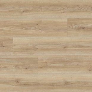 Ламинат Kaindl | K2241 Oak Cordoba Crema RC Royal Cordoba 1383 x 193 mm 8.0 mm 18667 фото
