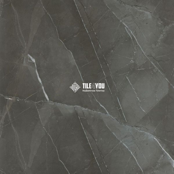 Керамограніт Kale ROYAL MARBLES MPB-U845 Golden storm grey 60x60 10683 фото