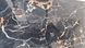 Керамогранит Livenza Granito | Rasotica Black 60x120 см 16319 фото 5