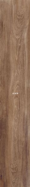 Плитка під дерево Teo Ceramics (Allore) | Sequoia Gold F PR 198x1200x8 R Mat 1 18054 фото