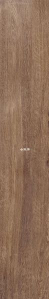 Плитка під дерево Teo Ceramics (Allore) | Sequoia Gold F PR 198x1200x8 R Mat 1 18054 фото