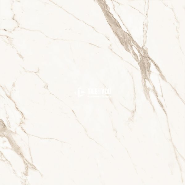 Керамогранит CERAMA MARKET | Calacatta Gold 60x60 см 16466 фото