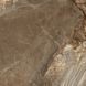 Керамогранит Almera Ceramica (Spain) | Volcane Brown 120x120 см 201882 фото 5