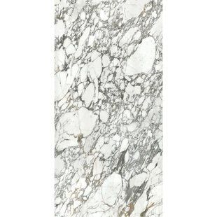 Керамогранит крупноформатный Anatolia | Arabescato Corchia 119,8x279,8 Polished 6mm (AB59P) 19324 фото