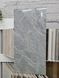 Керамограніт Ceramica Deseo | CK126-9MY029PA MIRATAS 60x120 см 17794 фото 3