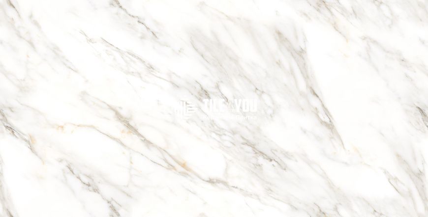Керамограніт CERAMA MARKET | Endless Glamour 60x120 см 16423 фото