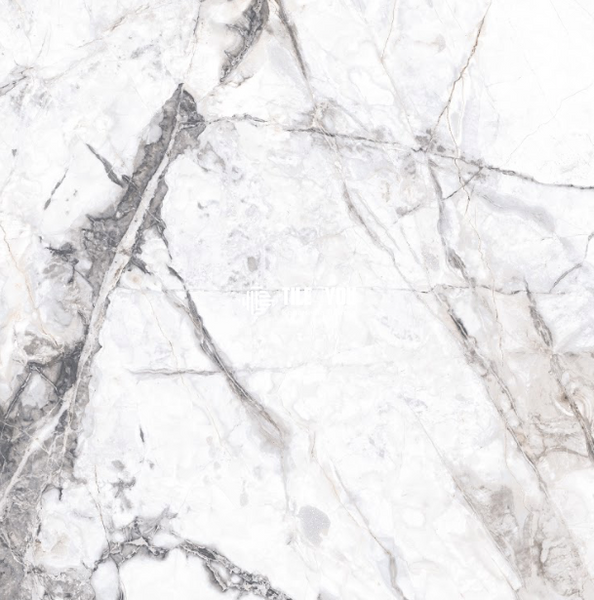 Керамограніт Fiera Ceramica | Premium Marble Visage Weiss 600х600х8 18213 фото