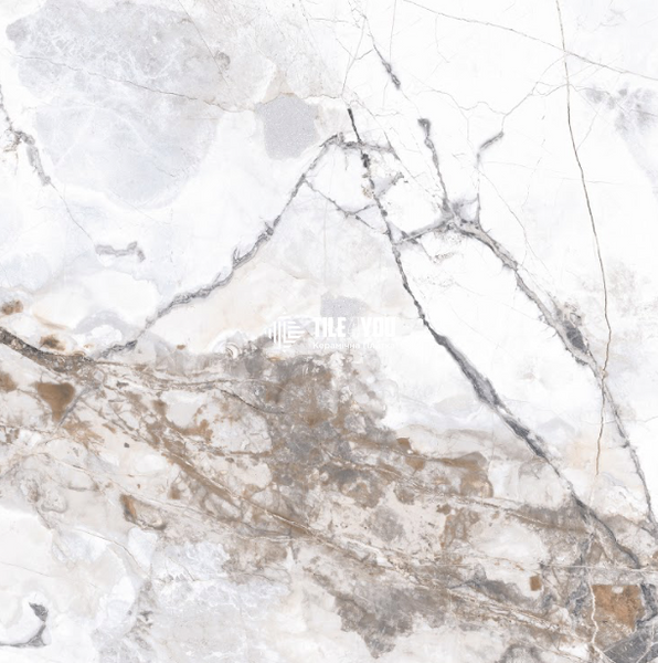 Керамограніт Fiera Ceramica | Premium Marble Visage Weiss 600х600х8 18213 фото